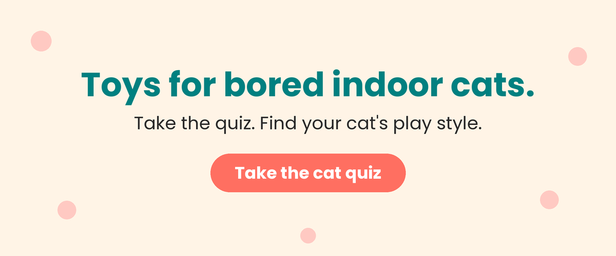 Banner reading "Toys for bored indoor cats. Take the quiz. Find your cat's play style."