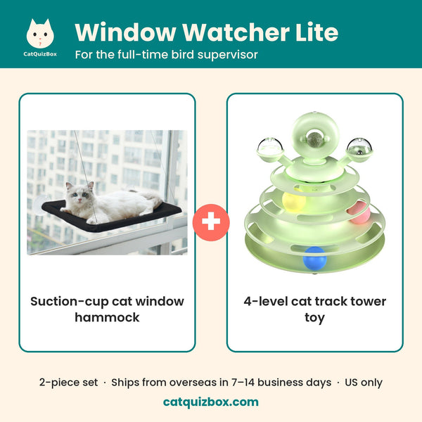 Window Watcher Lite set: suction-cup cat window hammock plus 4-level cat track tower toy
