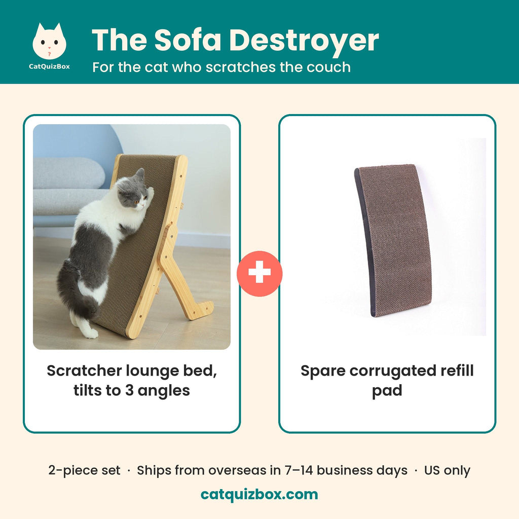 Sofa Destroyer set: tilting cat scratcher lounge bed plus spare corrugated refill pad