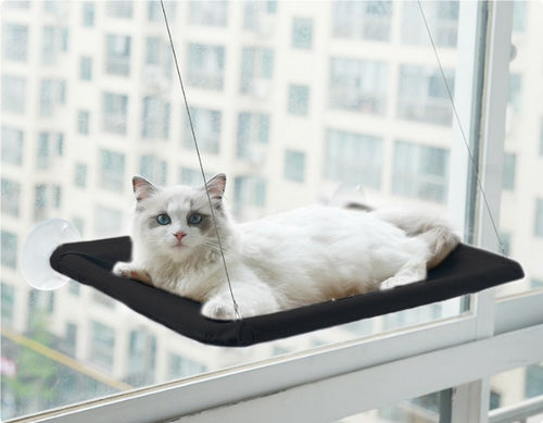 Cat lying in a black suction-cup cat window hammock on a window